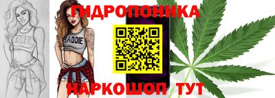 дживик Тверь